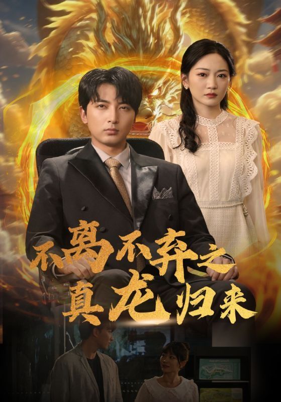 不离不弃之真龙归来 第21-40集