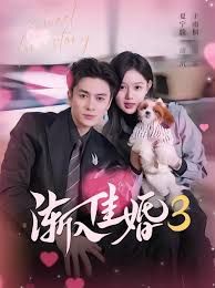 渐入佳婚3第三部 全集完结(大结局)