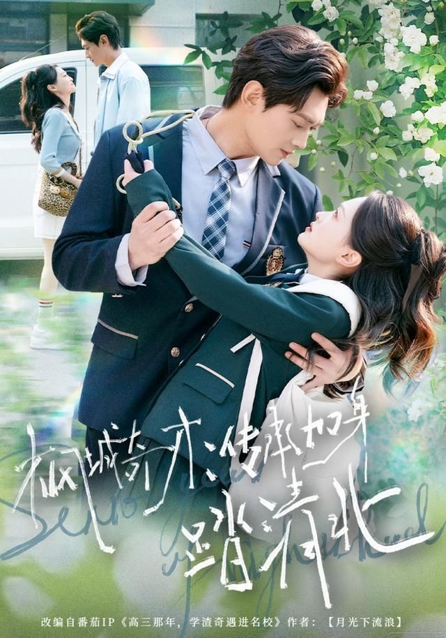 枫城奇才：传承加身踏清北 全集完结(大结局)