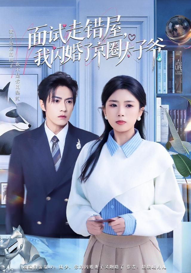 面试走错屋，我闪婚了京圈太子爷 全集完结(大结局)