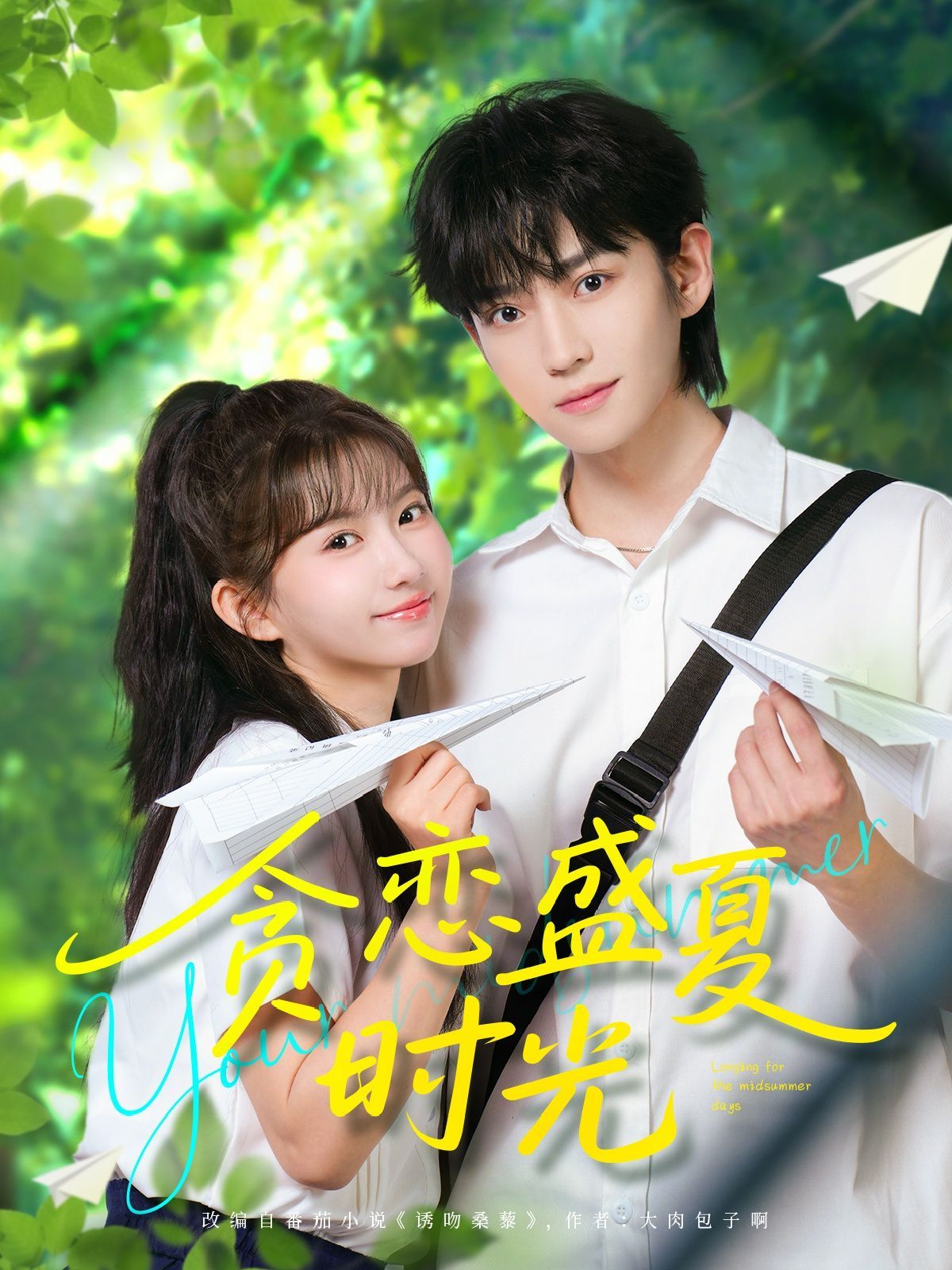 贪恋盛夏时光 第1-30集