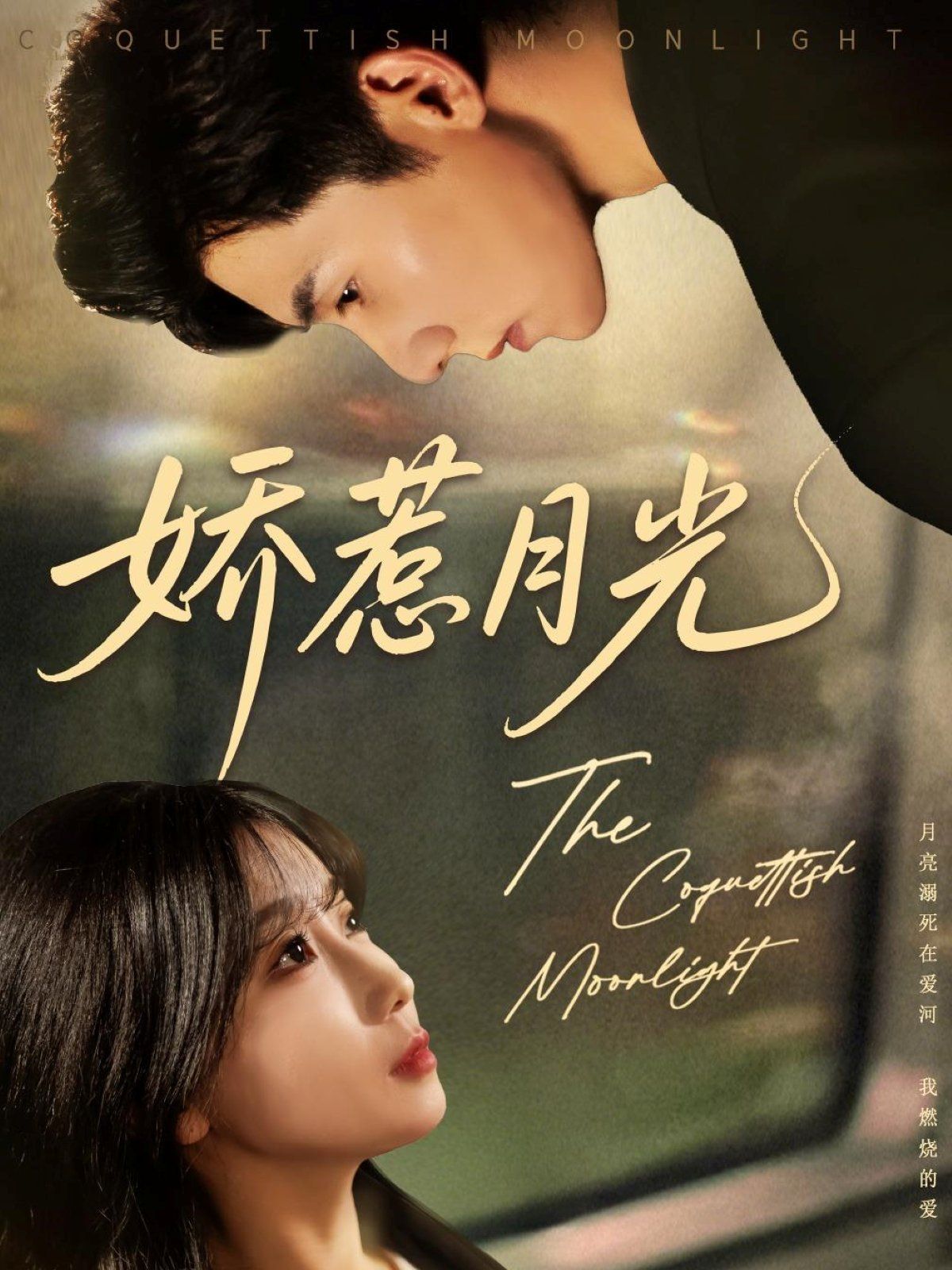 娇惹月光 全集完结(大结局)