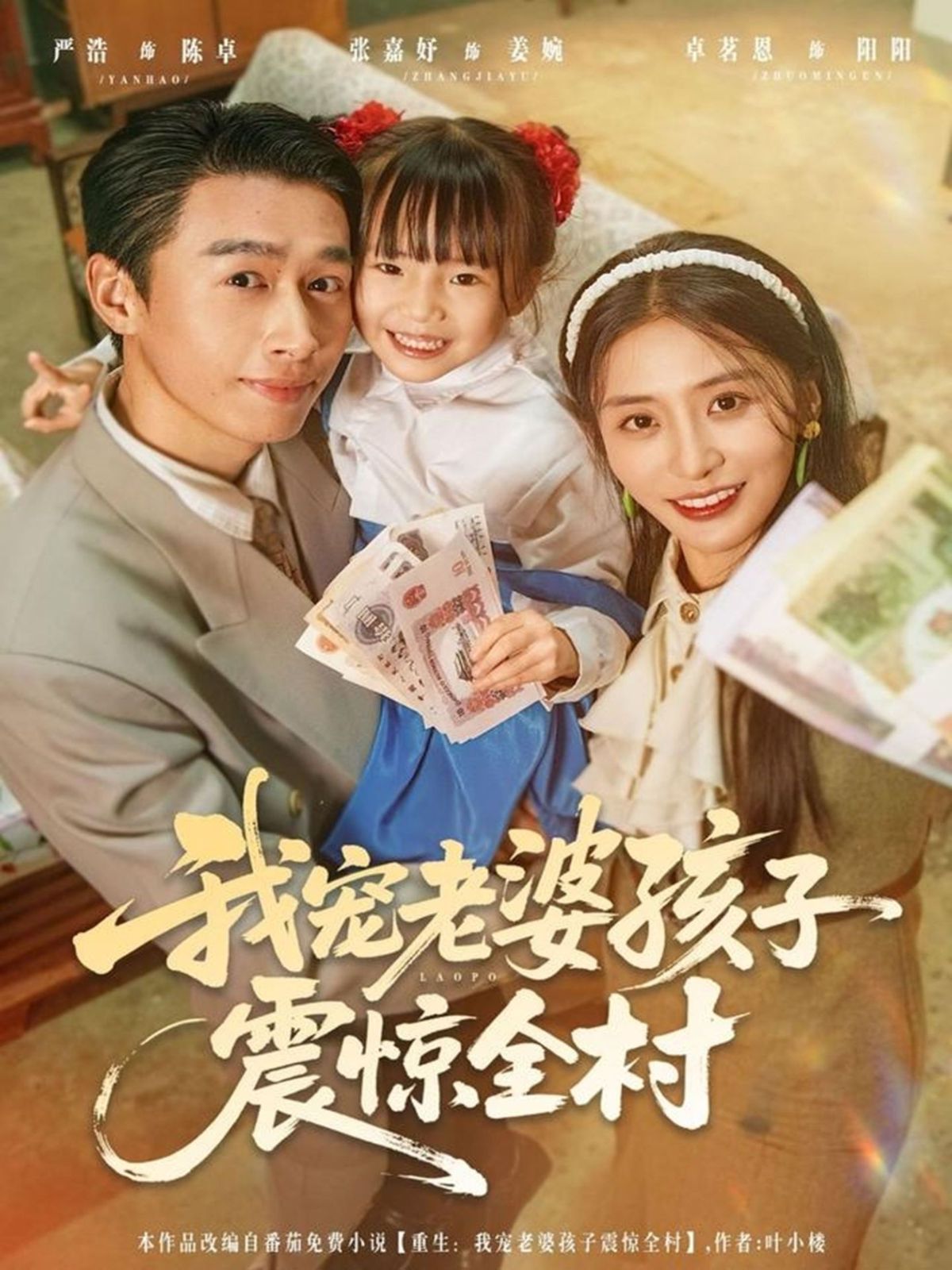 我宠老婆孩子震惊全村 全集完结(大结局)