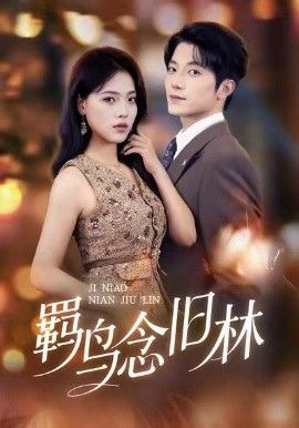 羁鸟念旧林 全集完结(大结局)