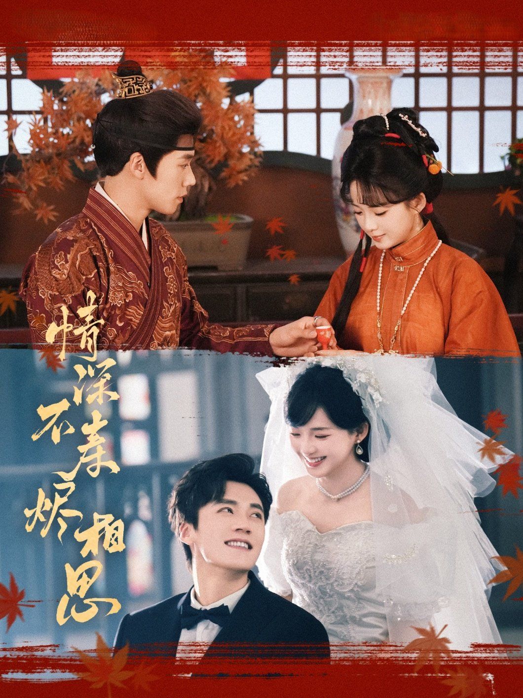 情深不寿烬相思 第47集