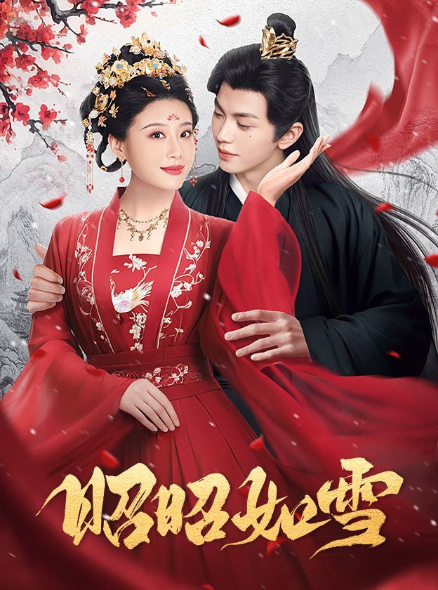 昭昭如雪 第21-40集