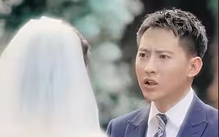 逆袭刘公子归来 第61-80集