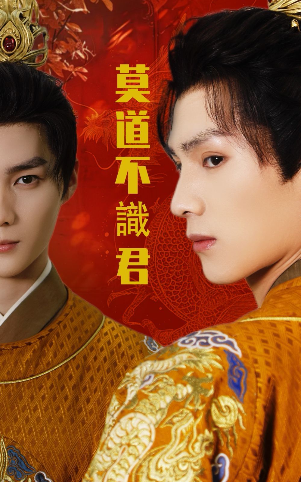 莫道不识君 第1-30集