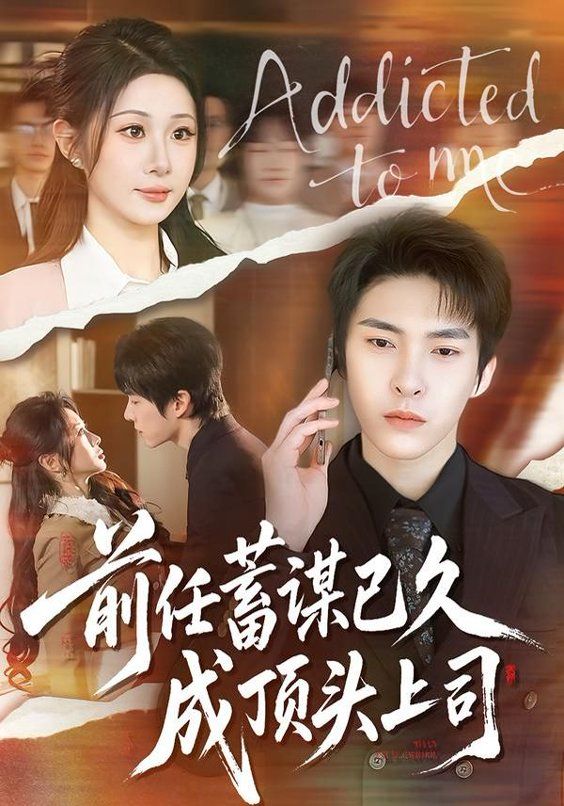 前任蓄谋已久成顶头上司 全集完结(大结局)