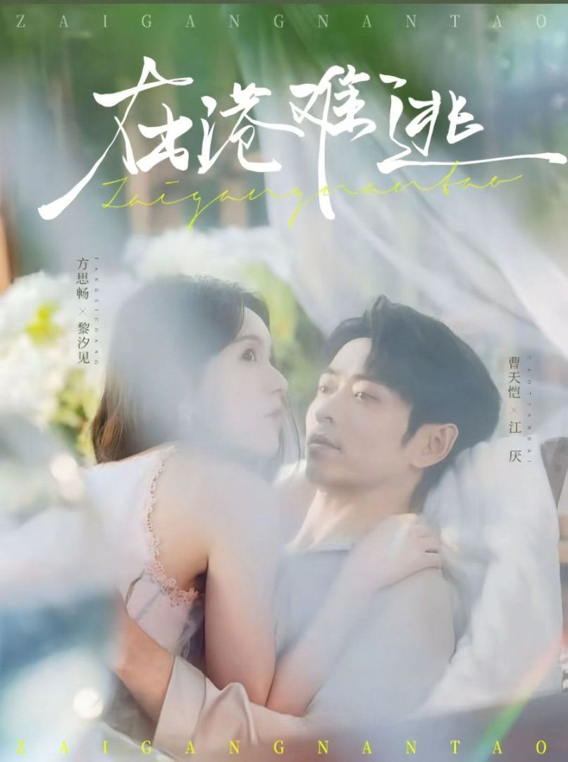 在港难逃 全集完结(大结局)