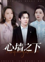心墙之下 全集完结(大结局)