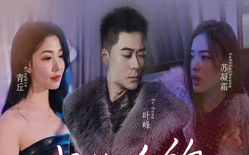 我的合约总裁未婚妻 第1-30集