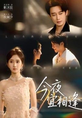 今夜宜相逢 全集完结(大结局)