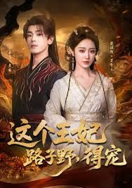 这个王妃路子野，得宠 全集完结(大结局)