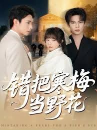 错把寒梅当野花 全集完结(大结局)