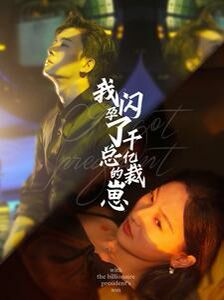 我闪孕了千亿总裁的崽 第1-20集