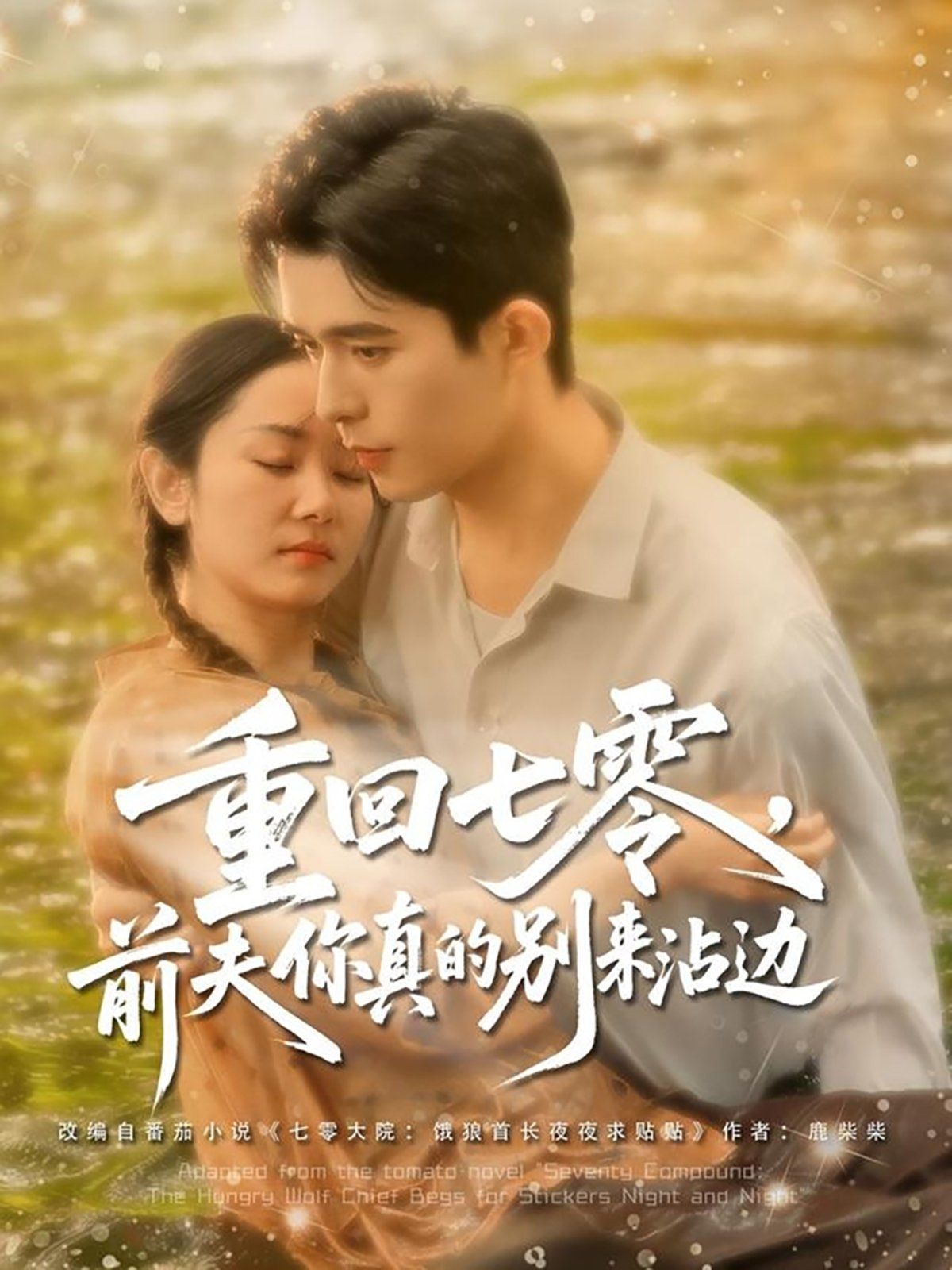 重回七零前夫你真的别来沾边 第99集