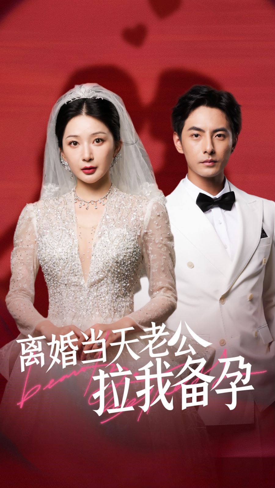 离婚当天老公拉我备孕 第1-20集