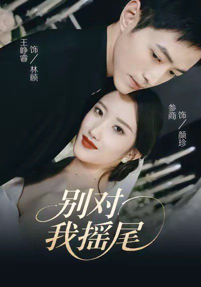 别对我摇尾 全集完结(大结局)