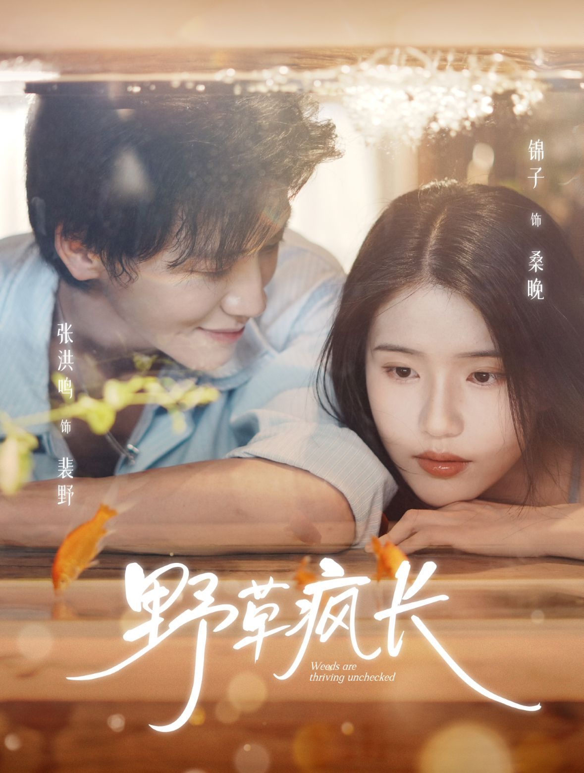 野草疯长 全集完结(大结局)