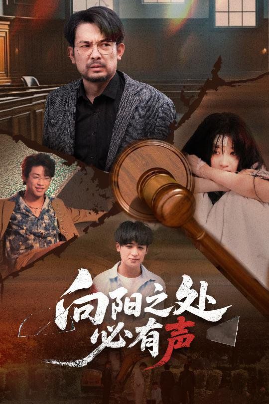 向阳之处必有声 全集完结(大结局)