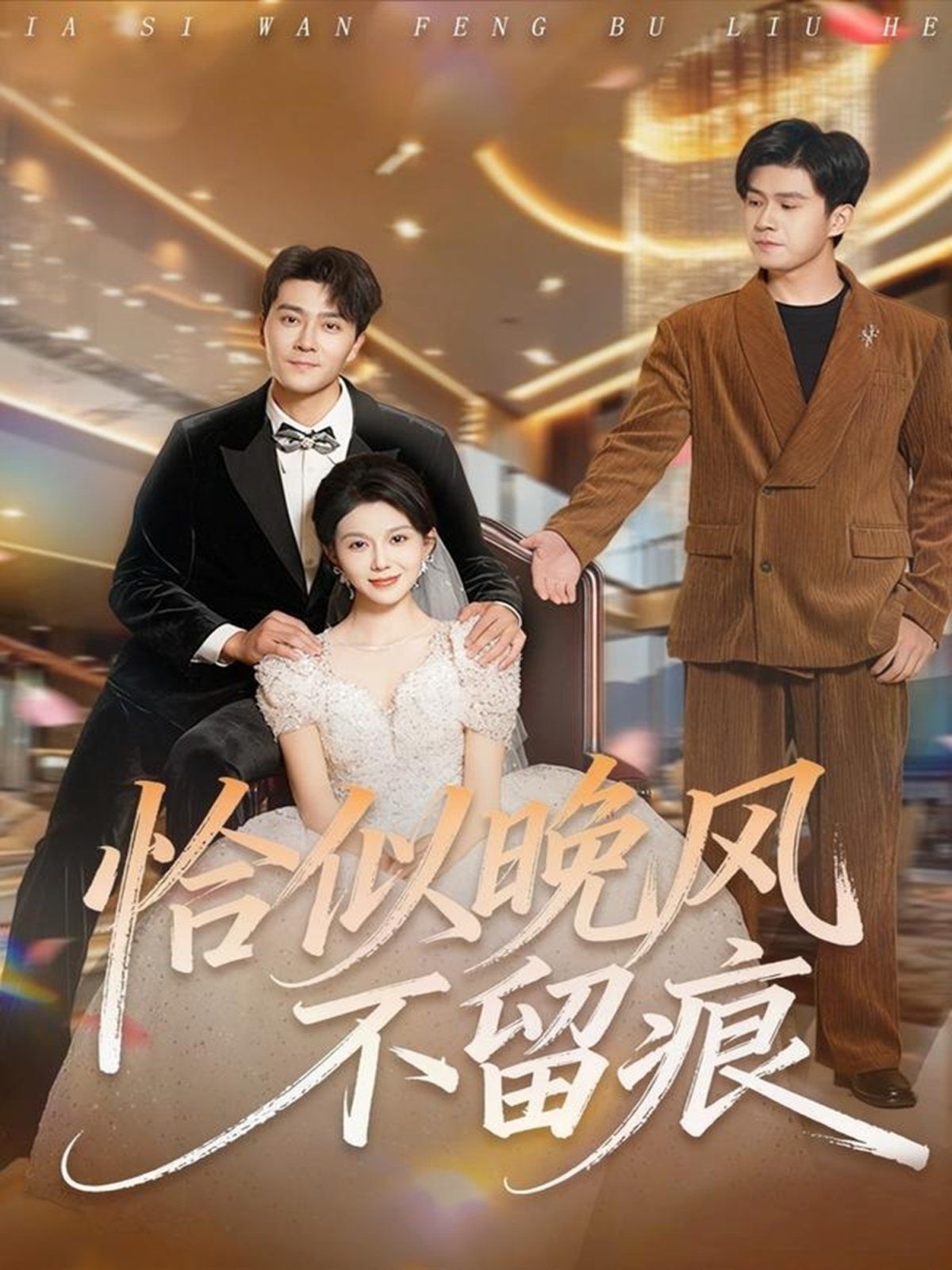 恰似晚风不留痕 全集完结(大结局)