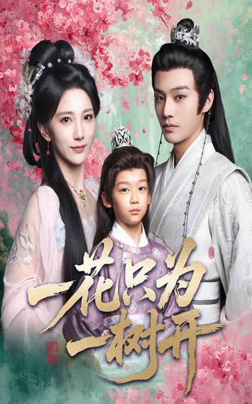 一花只为一树开 第01集