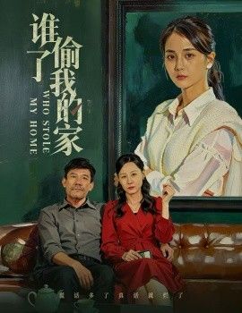 谁偷了我的家 全集完结(大结局)