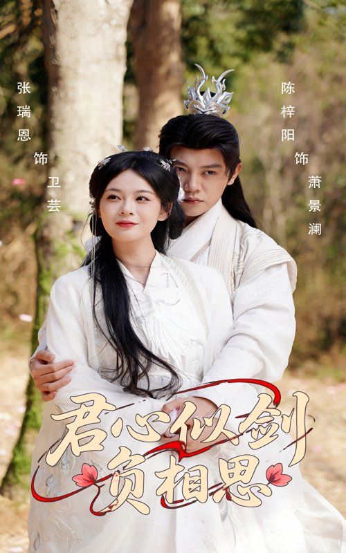 君心似剑负相思 全集完结(大结局)