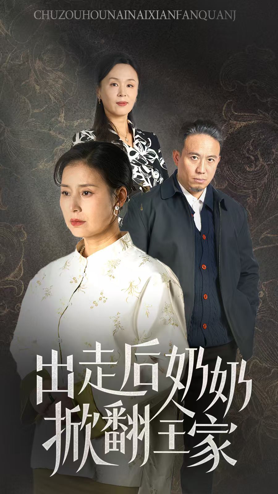 出走后奶奶掀翻全家 第29集