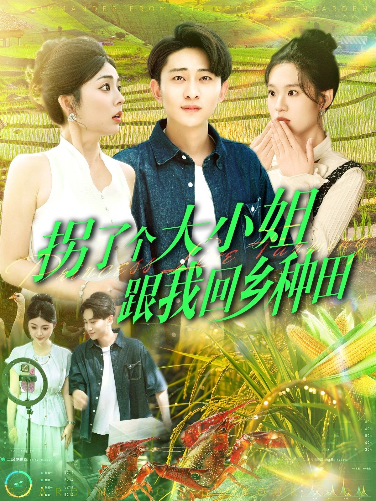 拐了个大小姐跟我回乡种田 全集完结(大结局)