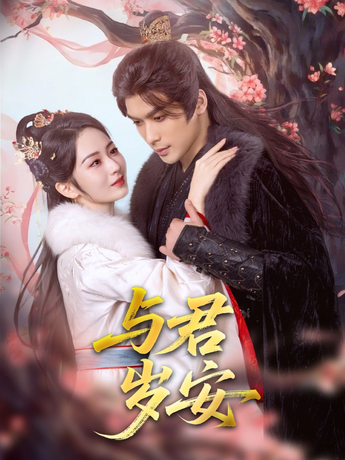 与君岁安 第1-20集