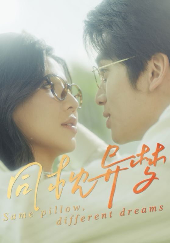 同枕异梦 全集完结(大结局)
