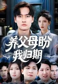 养父母盼我归期 全集完结(大结局)