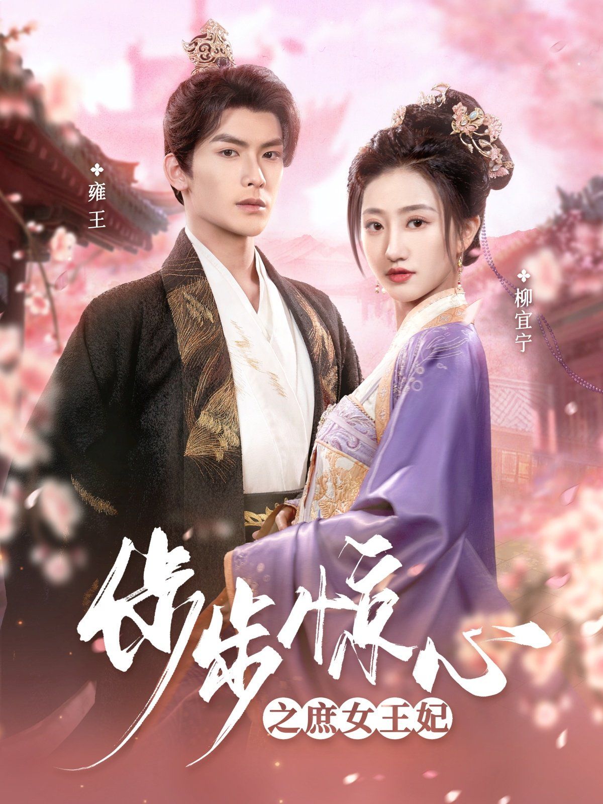 步步惊心之庶女王妃 第1-20集