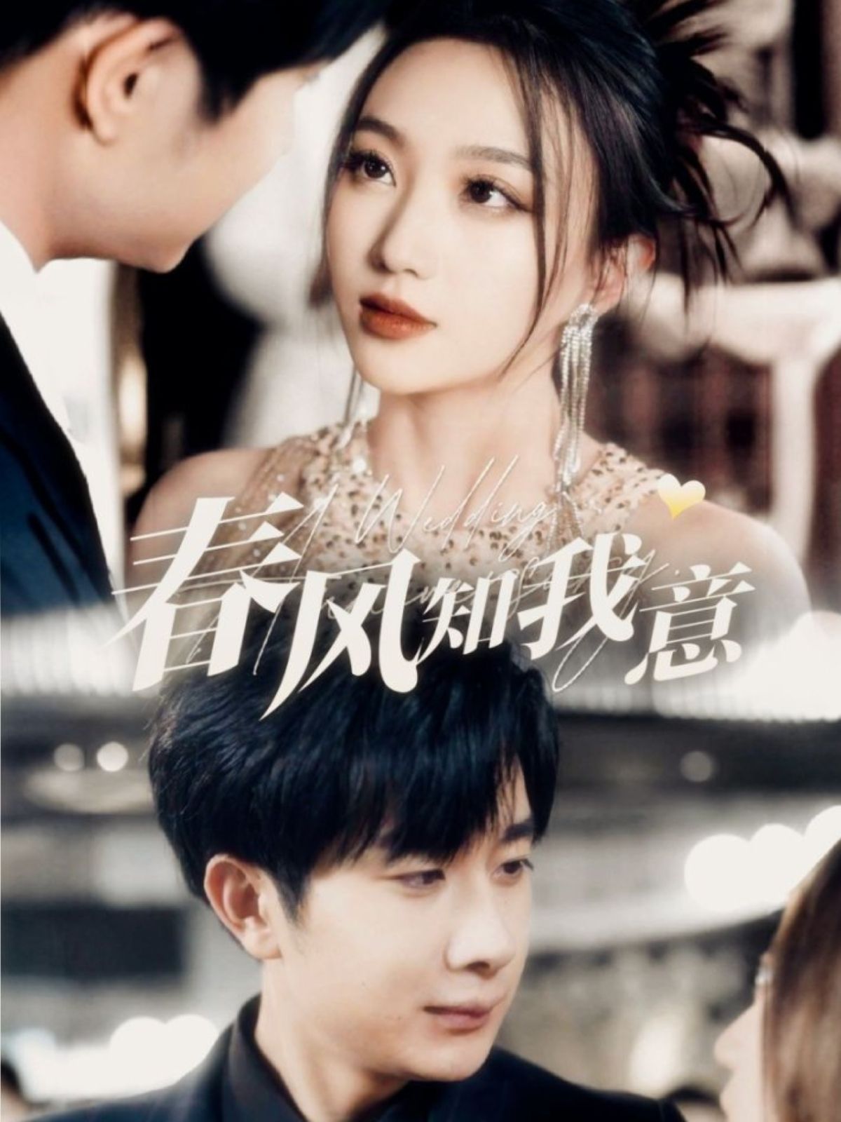 春风知我意 第1-20集