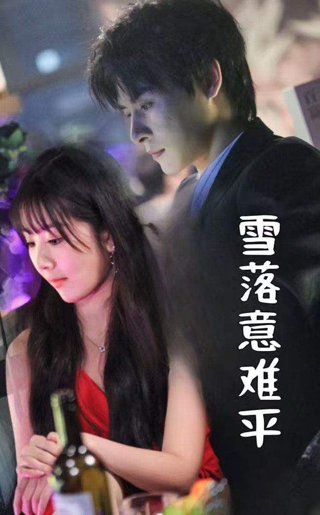 雪落意难平 全集完结(大结局)