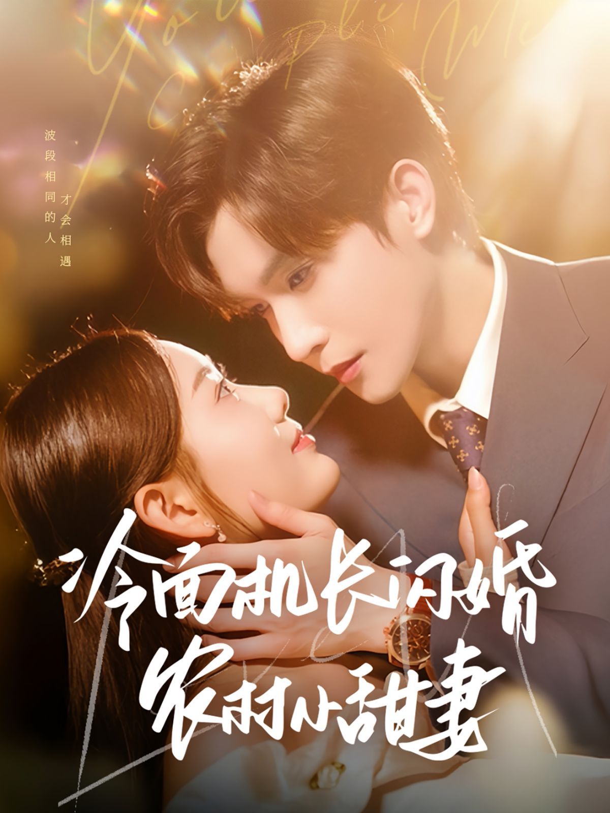 冷面机长闪婚农村小甜妻 全集完结(大结局)