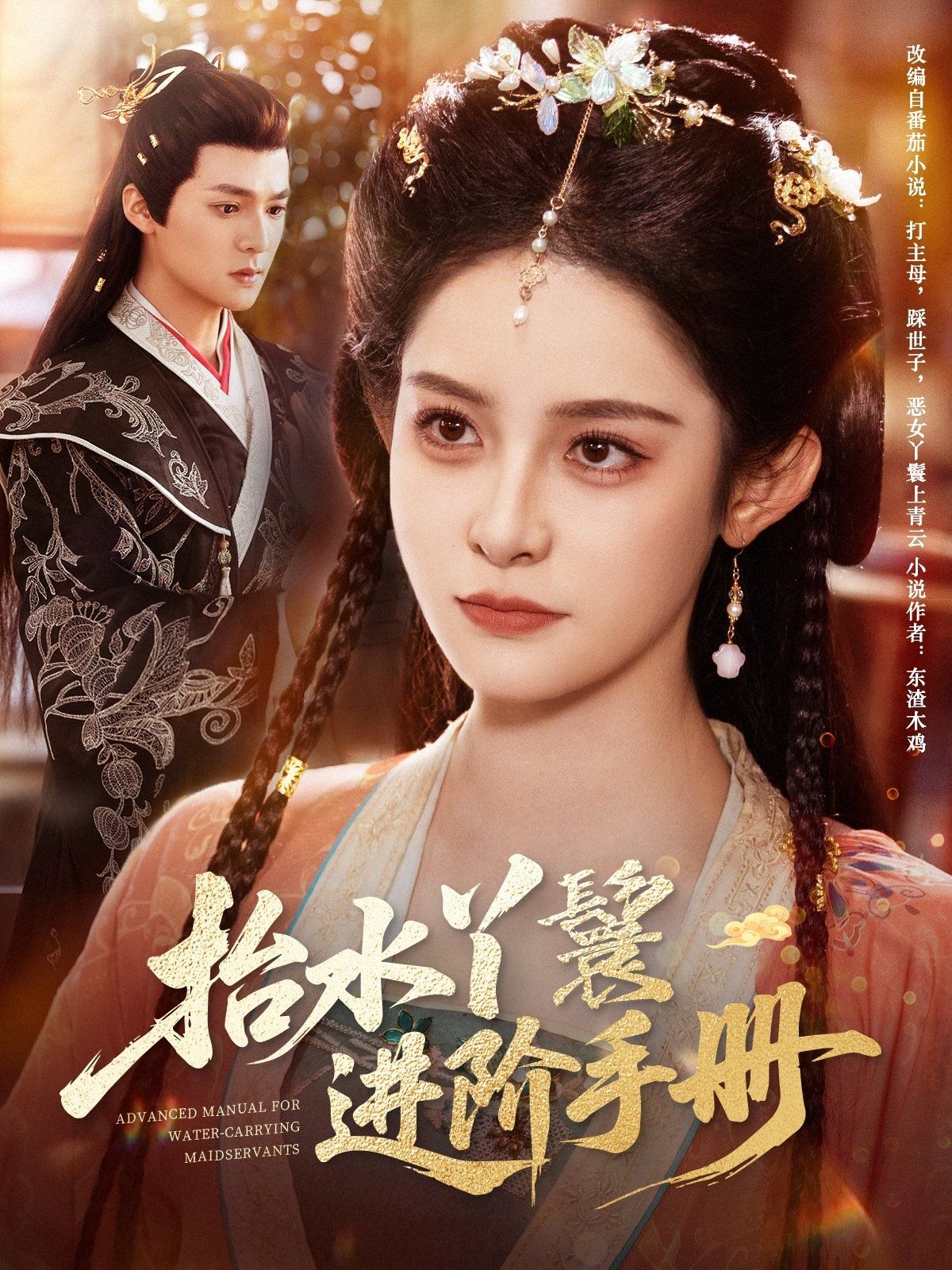 抬水丫鬟进阶手册 全集完结(大结局)