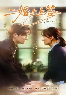 二婚上上签 全集完结(大结局)