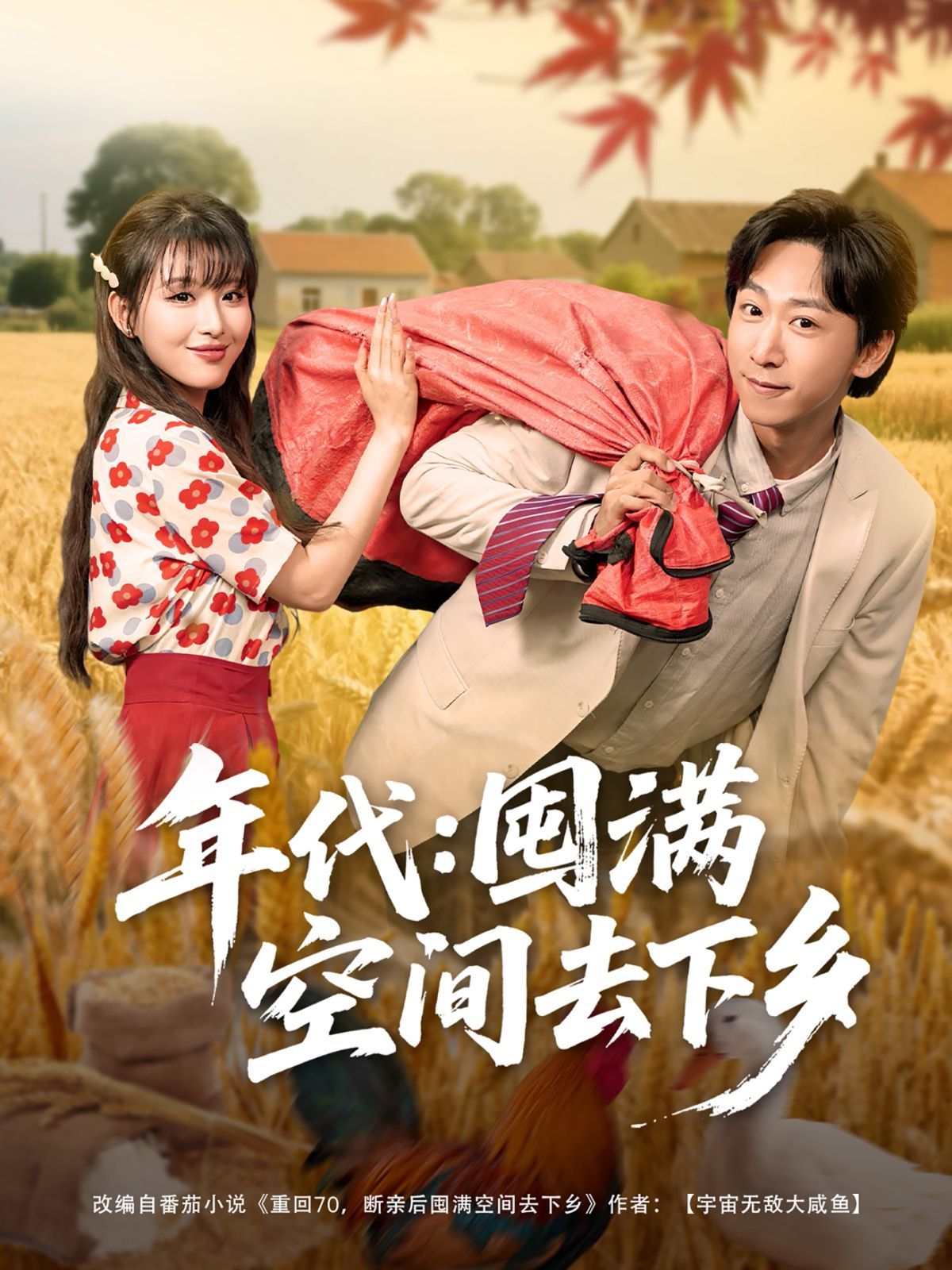 年代囤满空间去下乡 全集完结(大结局)