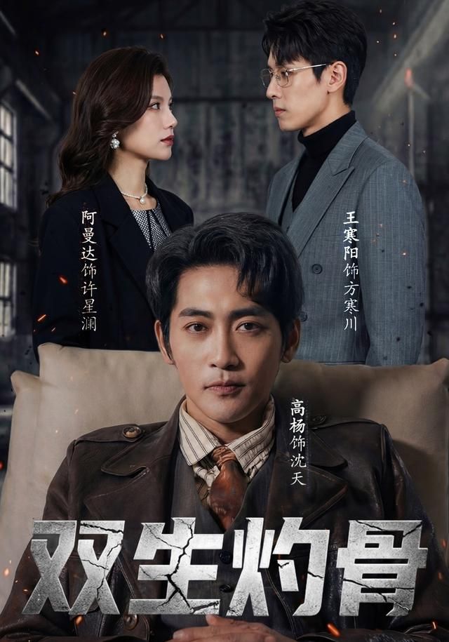 双生灼骨 全集完结(大结局)