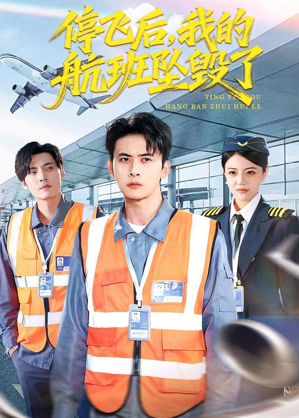 停飞后，我的航班坠毁了(全集)