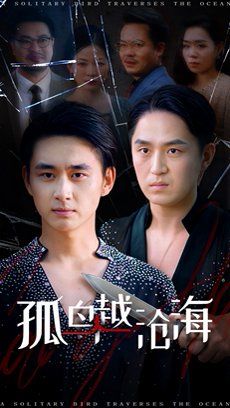 孤鸟越沧海 全集完结(大结局)