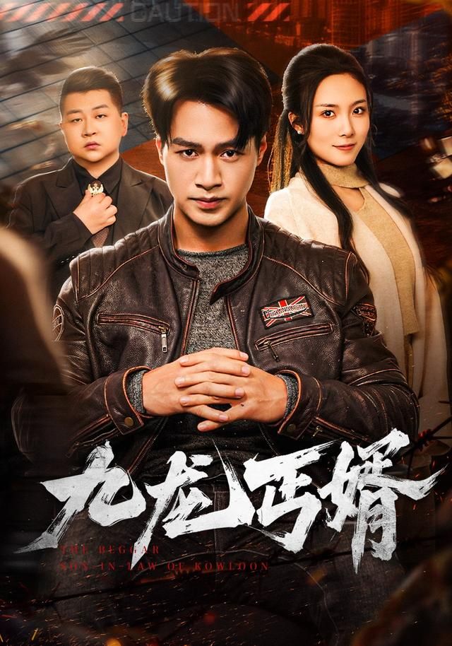 九龙丐婿 全集完结(大结局)