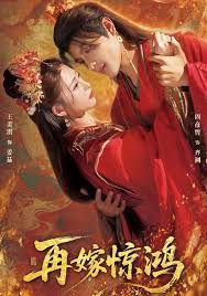 再嫁惊鸿 全集完结(大结局)