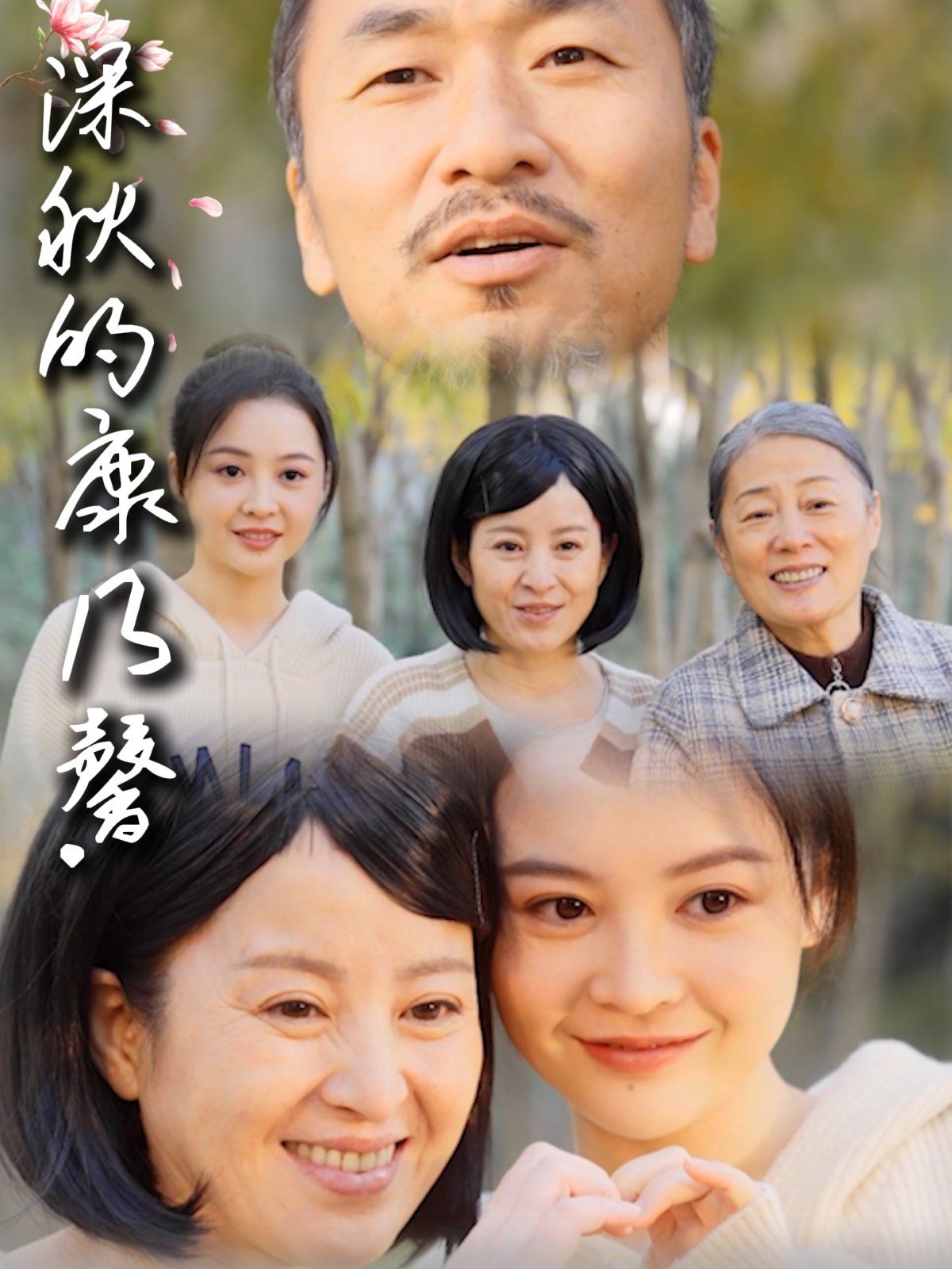 深秋的康乃馨 第1-30集