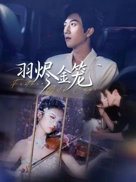 羽烬金笼 全集完结(大结局)