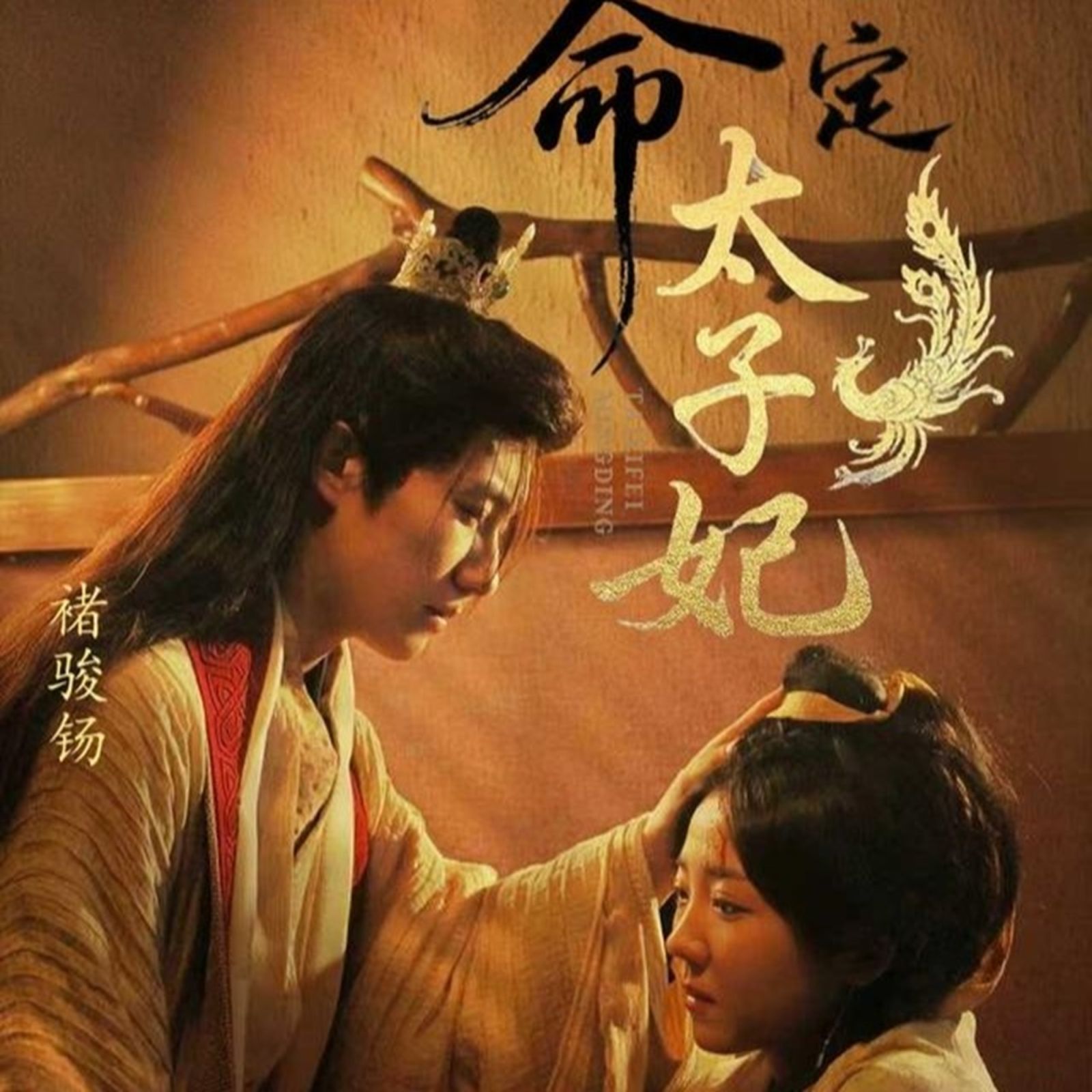 命定太子妃 第01集