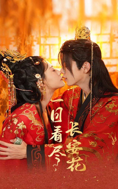 一日看尽长安花 第1-20集